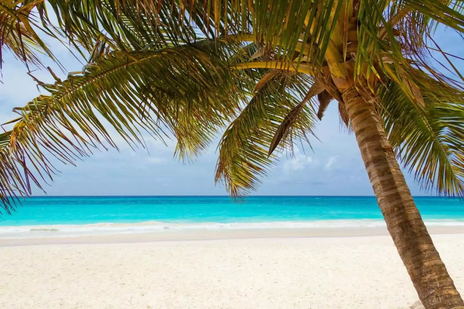 Karibik – Urlaubsziel bei Travelhunter