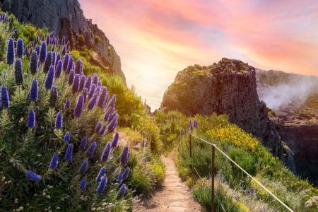 Madeira – Urlaubsziel bei Travelhunter